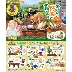 Blind Box Vegetable...