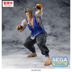 Prize Figure Street Fighter...