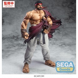 Prize Figure Street Fighter...
