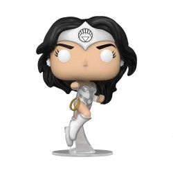 Wonder Woman 80th...