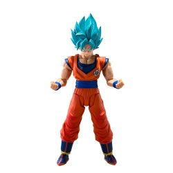 S.H.Figuarts Dragon Ball...